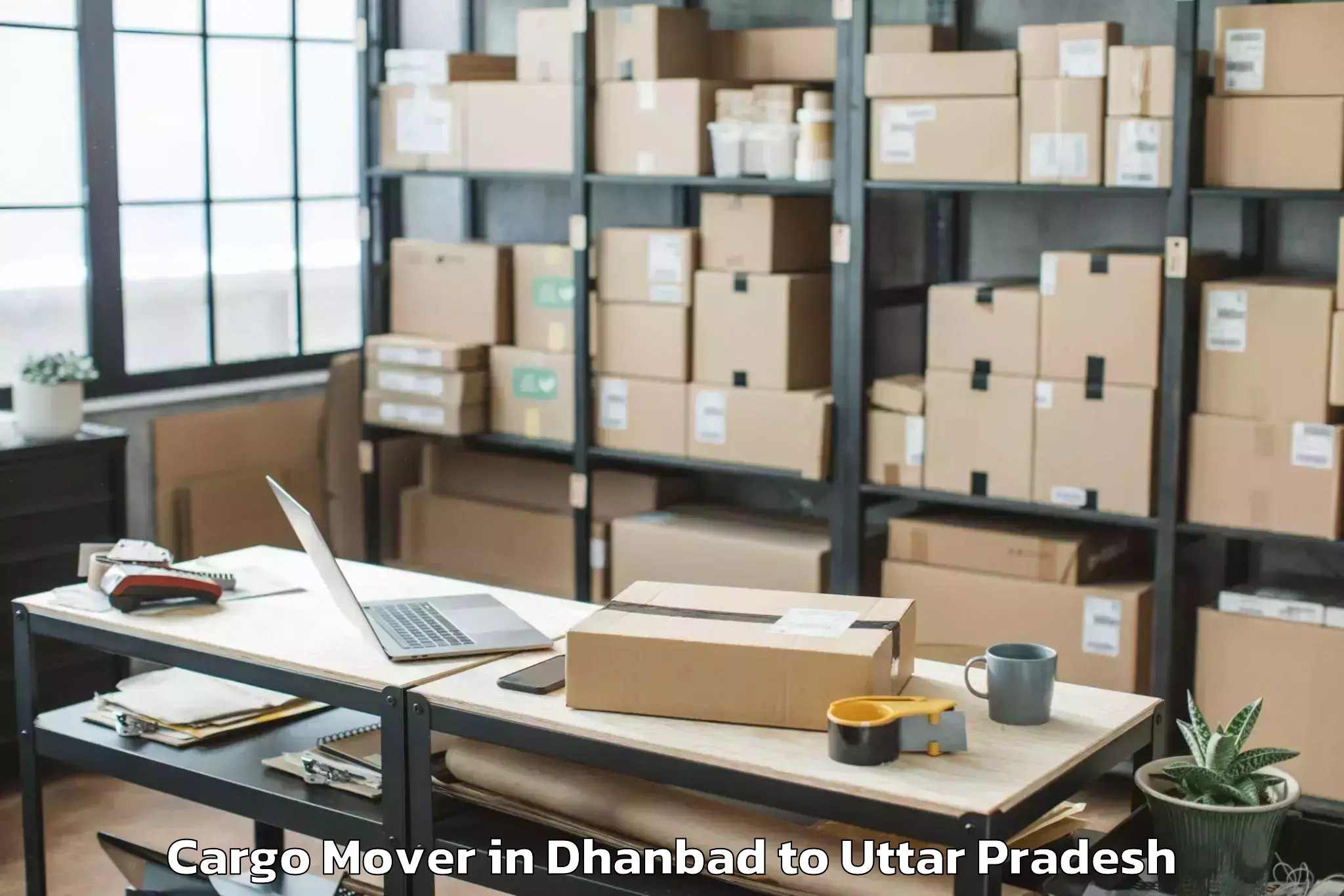 Book Dhanbad to Sirathu Cargo Mover